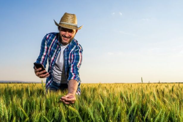 Carlos Eduardo Moraes Nunes