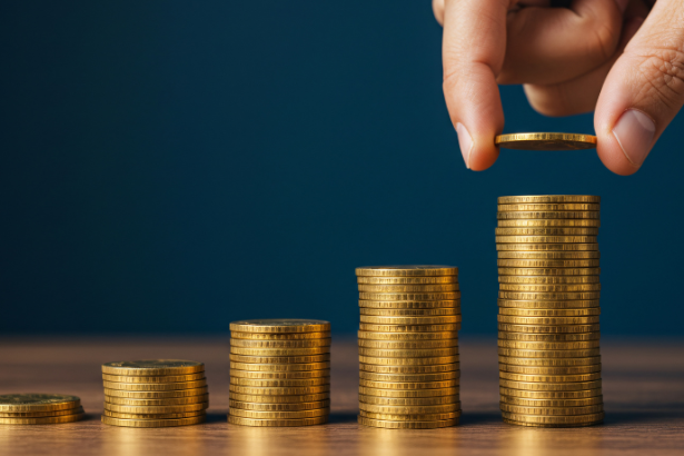 Instituto IBDSocial: promovendo uma economia que sustenta o futuro por meio de planejamento responsável e serviços duradouros.