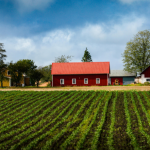 João Eustáquio De Almeida Junior reforça como o planejamento estratégico em propriedades rurais de grande escala depende de metas claras.