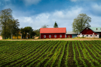 João Eustáquio De Almeida Junior reforça como o planejamento estratégico em propriedades rurais de grande escala depende de metas claras.