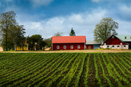 João Eustáquio De Almeida Junior reforça como o planejamento estratégico em propriedades rurais de grande escala depende de metas claras.