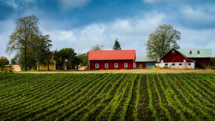 João Eustáquio De Almeida Junior reforça como o planejamento estratégico em propriedades rurais de grande escala depende de metas claras.